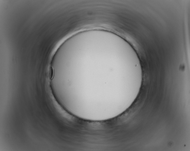 X0000100311524200807031135