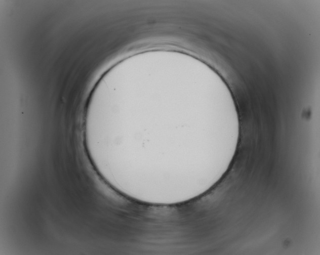 X0000100311526200807031135