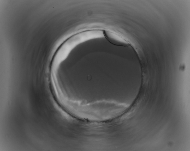 X0000100311527200807031135