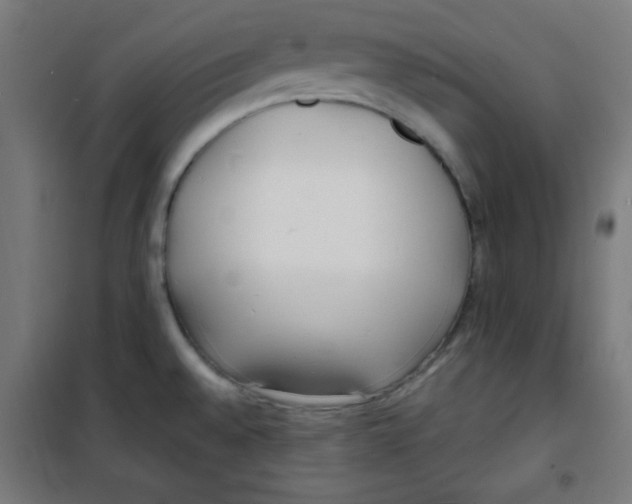 X0000100311528200807031135