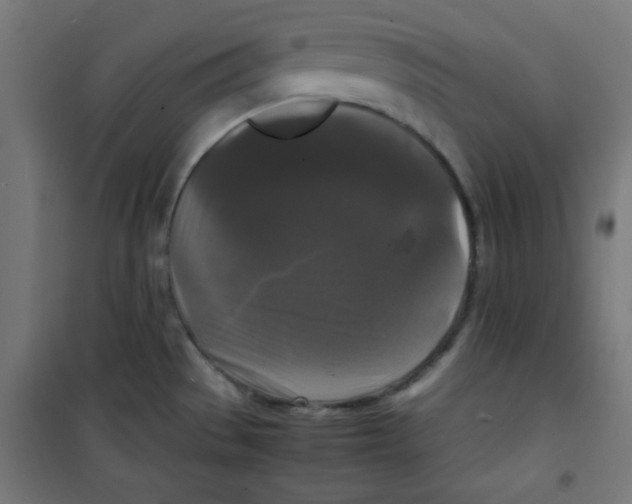 X0000100311529200807031135