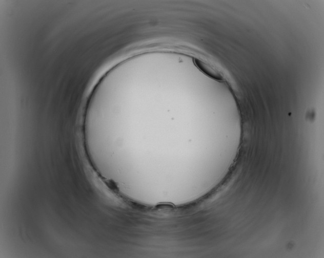 X0000100311530200807031135