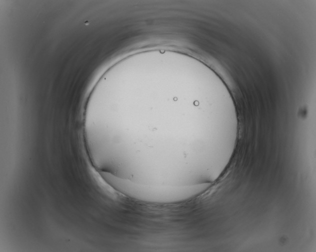 X0000100311532200807031135