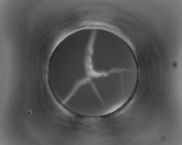 X0000100311533200807031135
