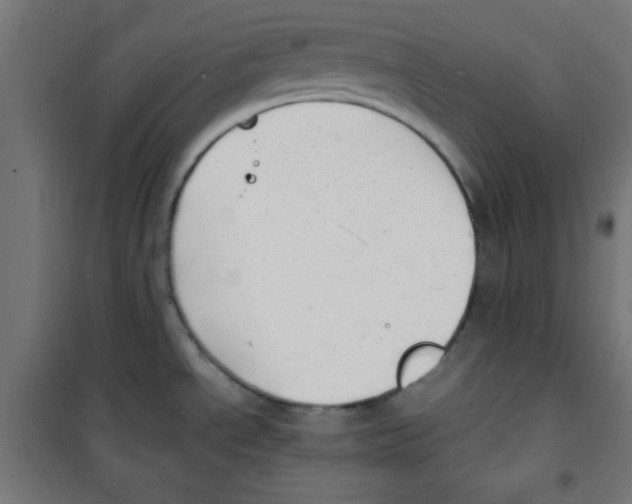 X0000100311534200807031135