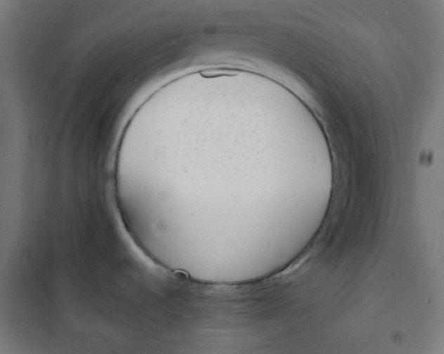 X0000100311536200807031135