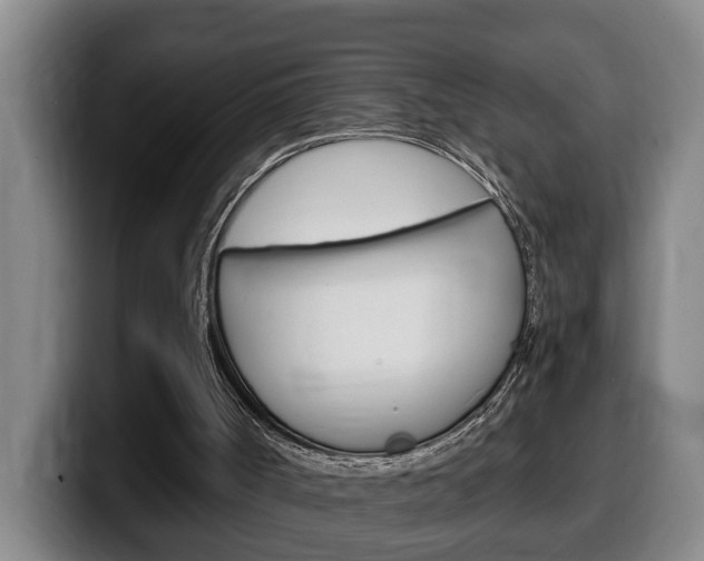 X0000100320002200806051359