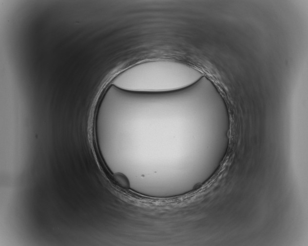 X0000100320003200806051359