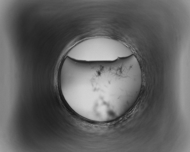 X0000100320004200806051359