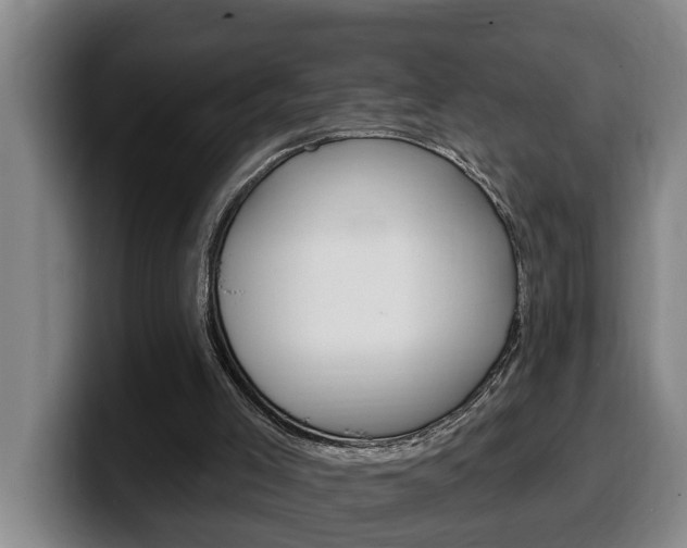 X0000100320005200806051359