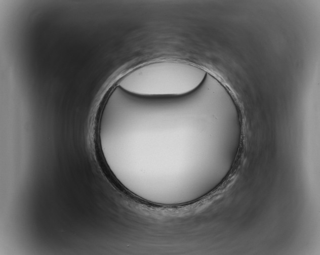 X0000100320007200806051359