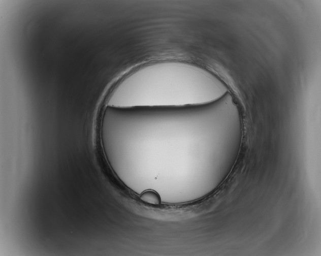 X0000100320012200806051359