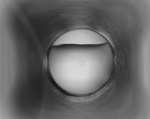 X0000100320013200806051359