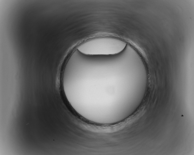 X0000100320015200806051359