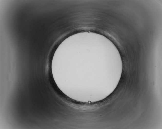 X0000100320016200806051359