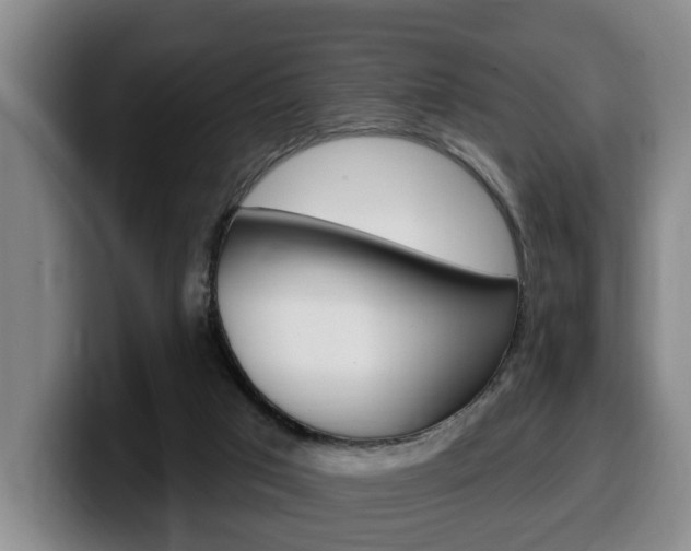 X0000100320017200806051359