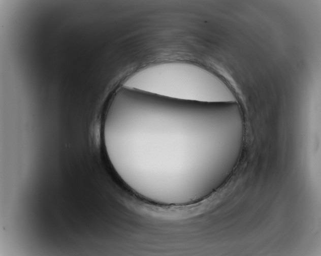 X0000100320019200806051359