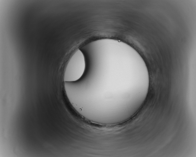 X0000100320020200806051359
