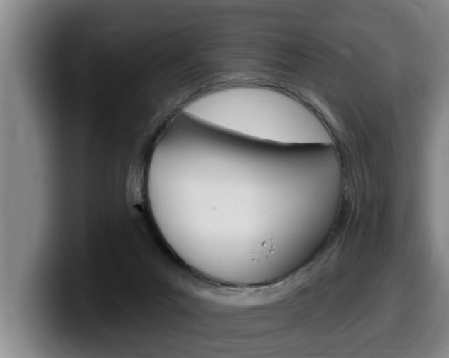 X0000100320023200806051359
