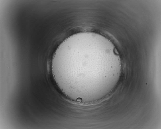 X0000100320026200806051359