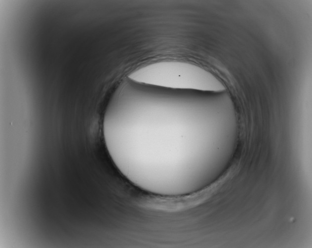 X0000100320029200806051359