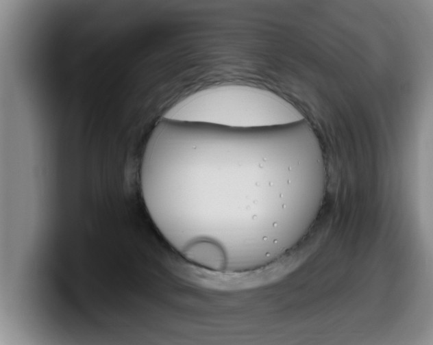 X0000100320034200806051359