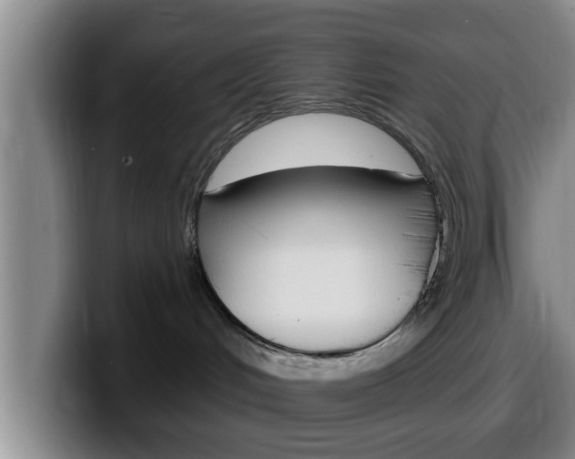 X0000100320048200806051359