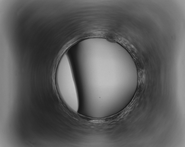 X0000100320051200806051358