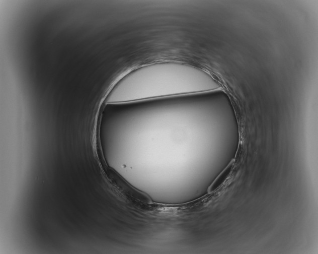 X0000100320052200806051358
