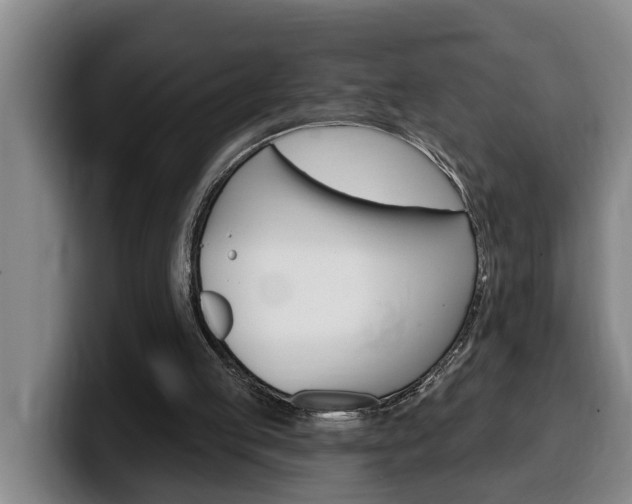 X0000100320053200806051358