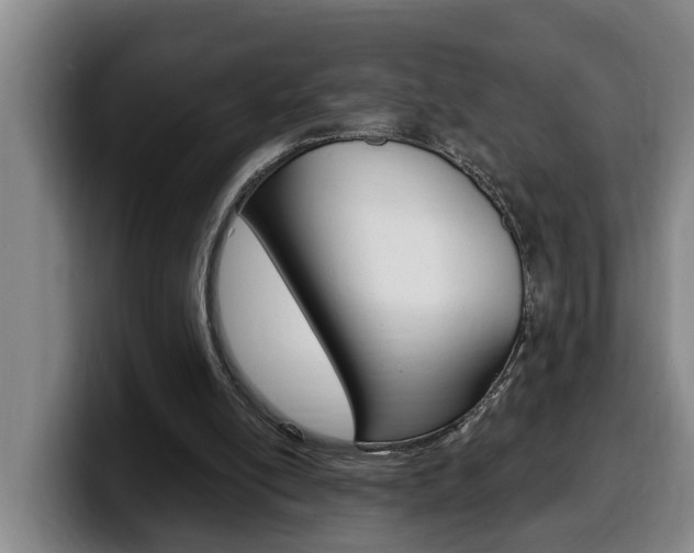 X0000100320054200806051358