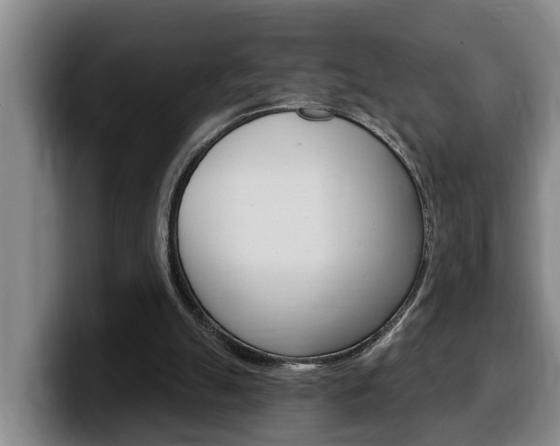 X0000100320055200806051358