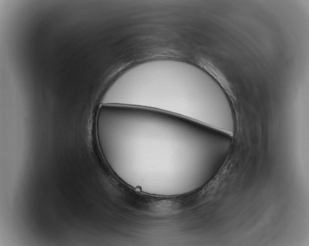 X0000100320058200806051358