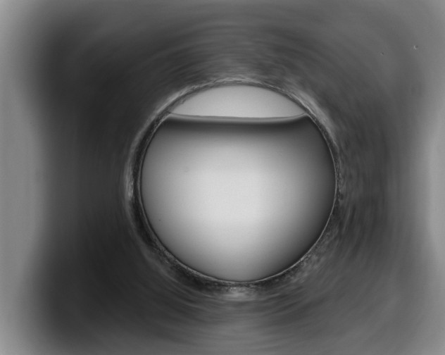 X0000100320060200806051358