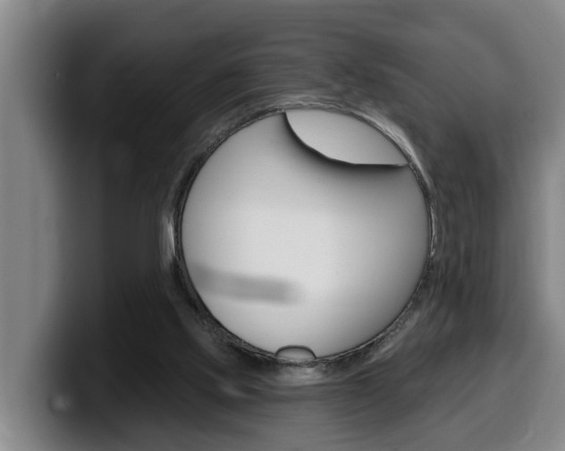 X0000100320061200806051358
