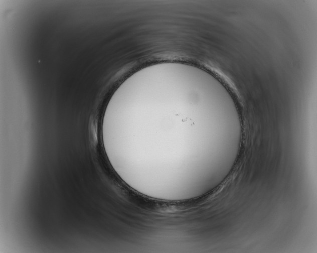 X0000100320062200806051358