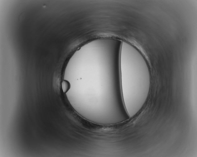 X0000100320063200806051358