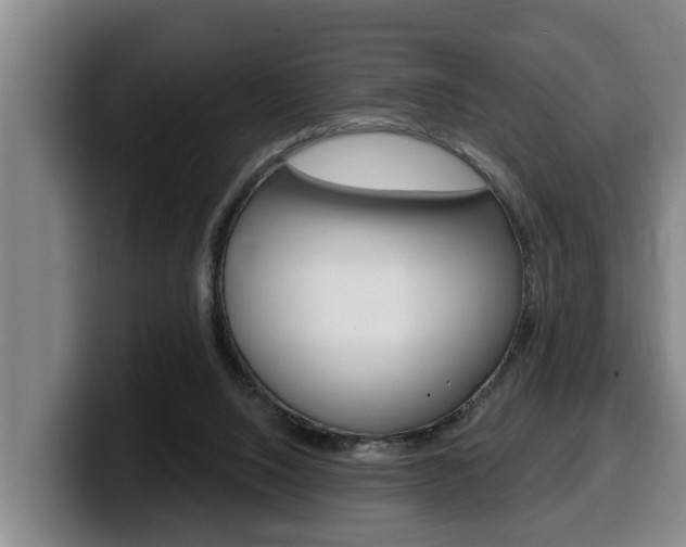 X0000100320064200806051358