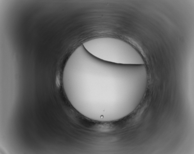 X0000100320069200806051358