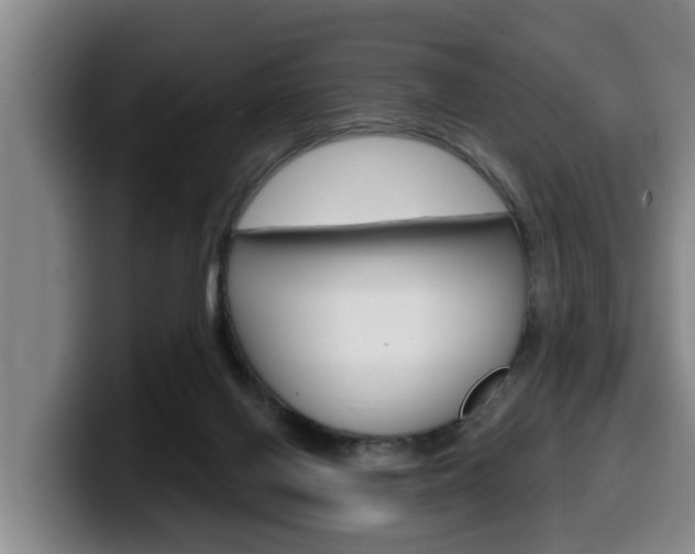 X0000100320070200806051358