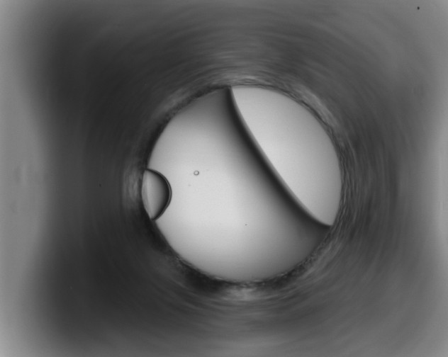 X0000100320071200806051359