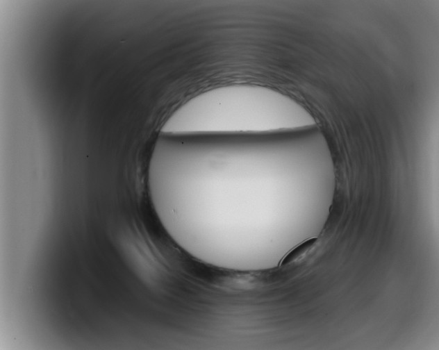 X0000100320086200806051359