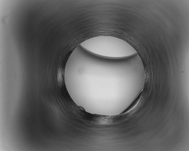X0000100320094200806051359