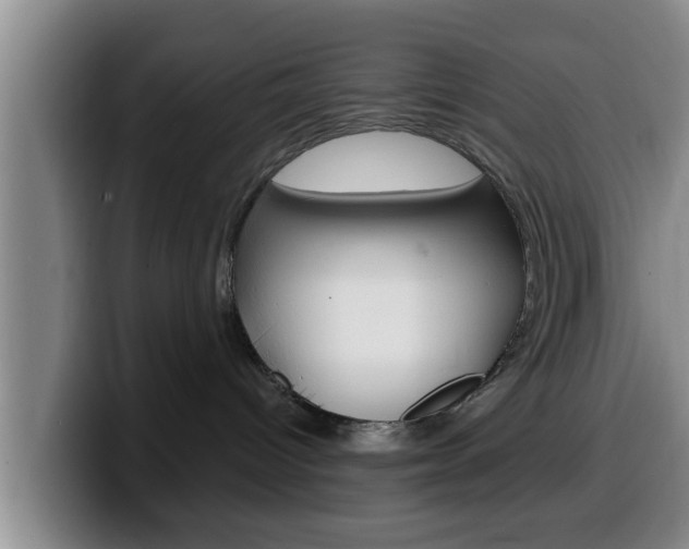 X0000100320096200806051359