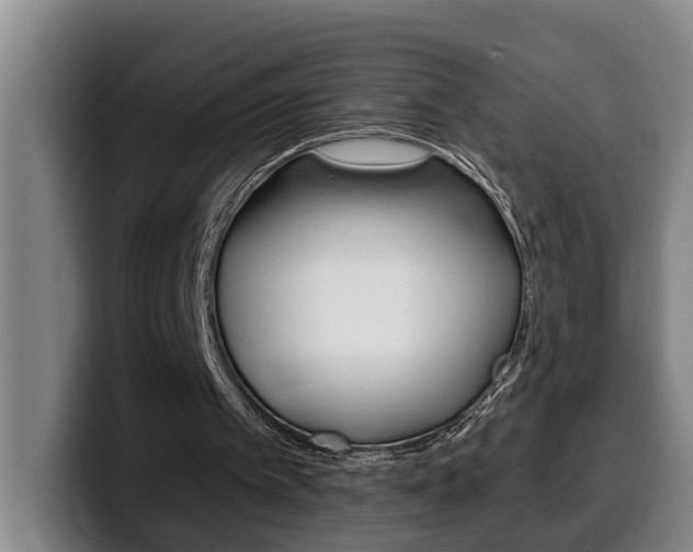 X0000100320097200806051358