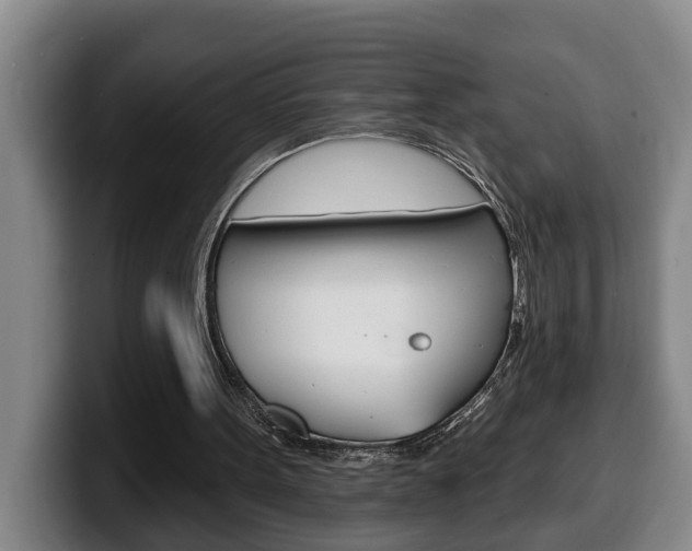 X0000100320099200806051358
