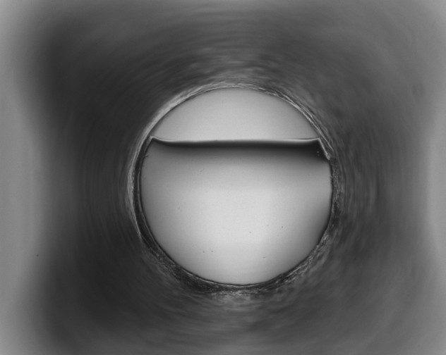 X0000100320100200806051358