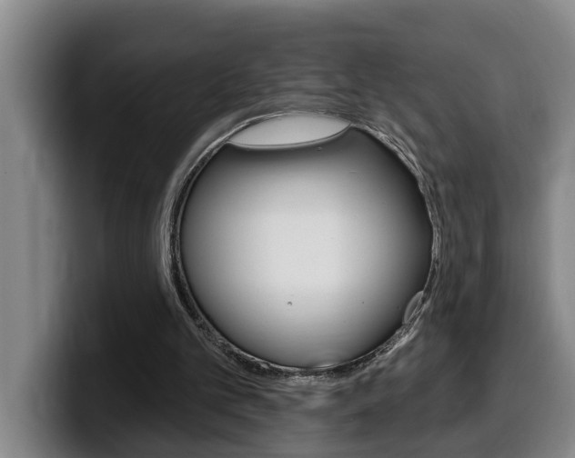 X0000100320101200806051358