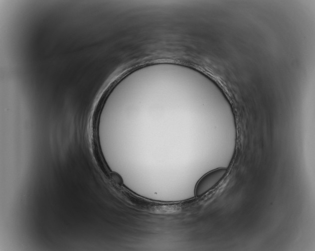 X0000100320102200806051358