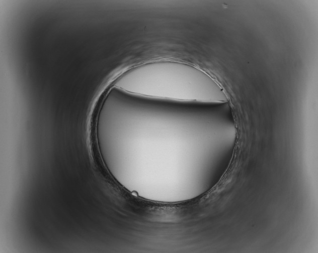 X0000100320104200806051358